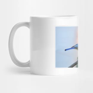 Eurasian Blue Tit Bird Mug